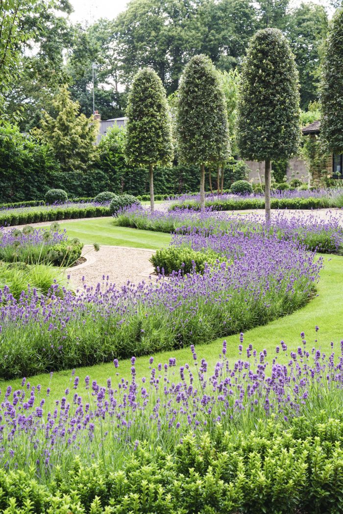 Garden Design By Pollyanna Wilkinson