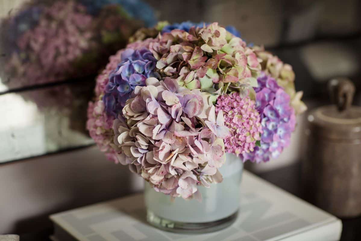 Flower arrangement of Hydrangeas by Wild Wood London. 